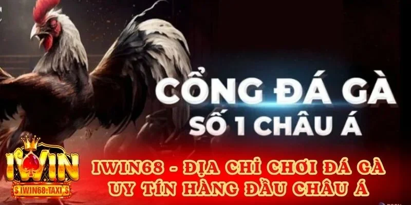 Địa chỉ chơi đá gà trực tiếp uy tín hàng đầu châu Á: IWIN68