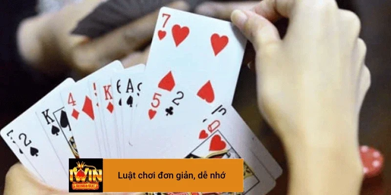 Học luật chơi và tham gia đánh bài cực dễ dàng