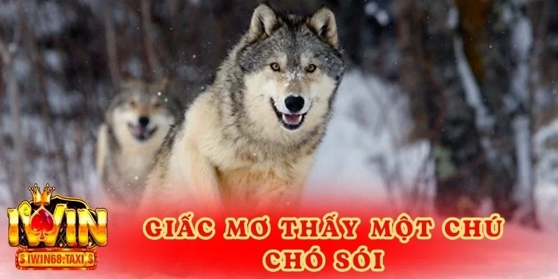 Giấc mơ thấy một chú chó sói