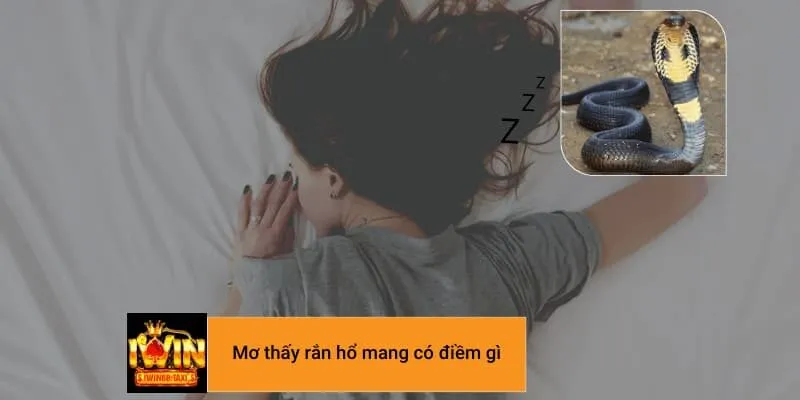 Nằm ngủ mơ thấy rắn hổ mang